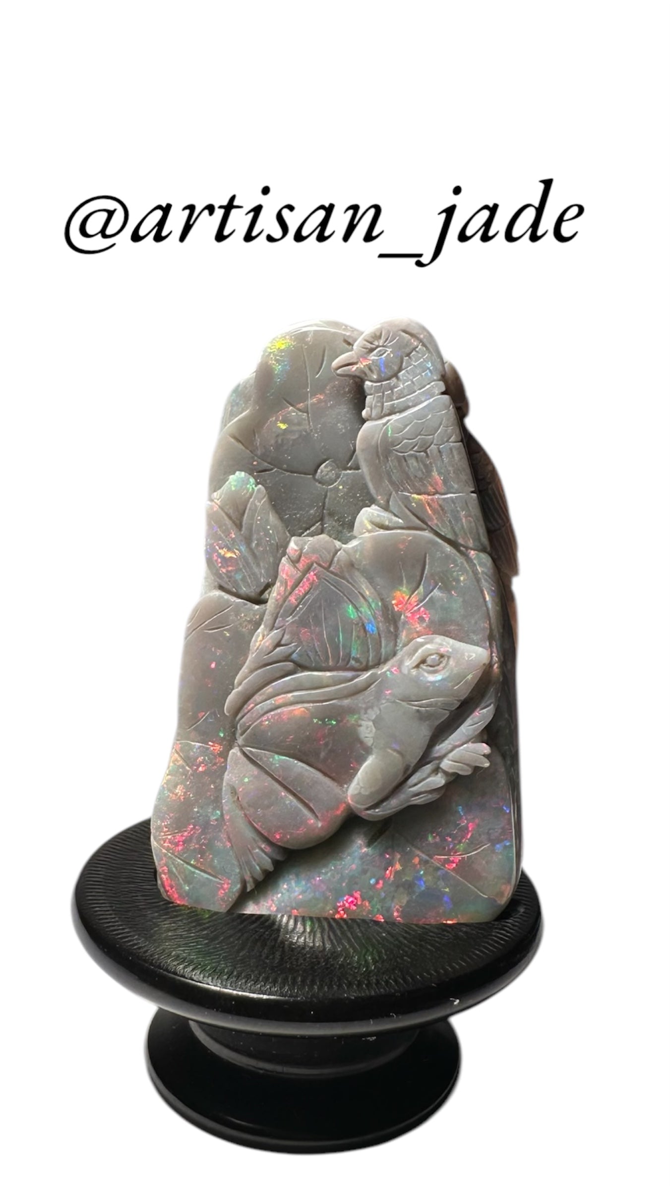 Frog and Parrots in Rainforest - Australian Opal