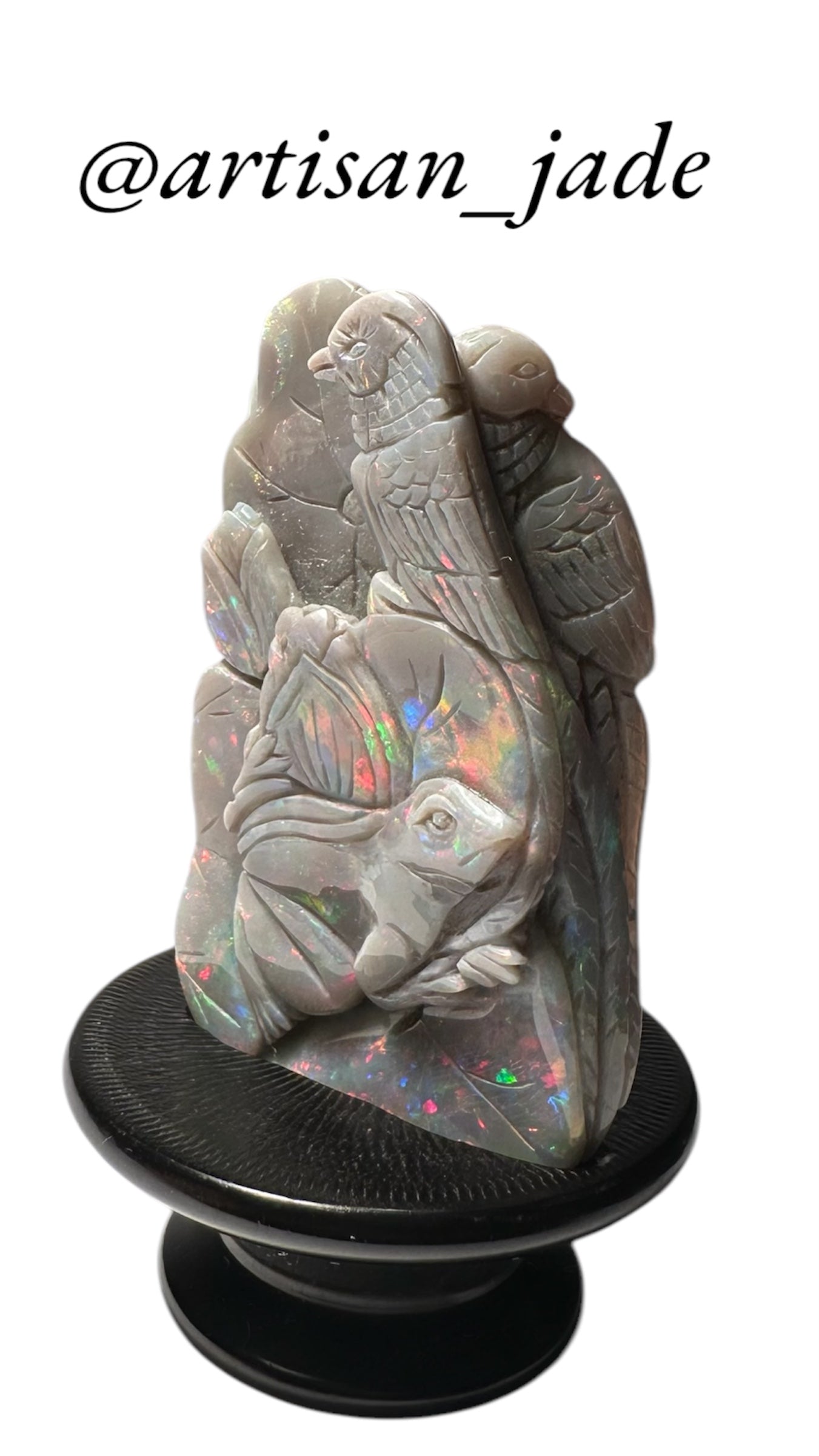Frog and Parrots in Rainforest - Australian Opal